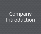 Company Introduction