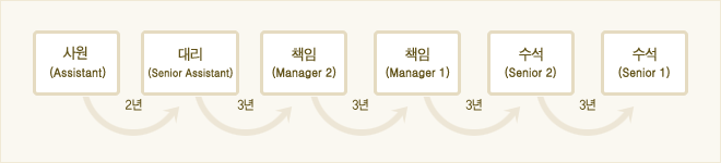 사원(assistant)2년, 대리(senior assistant)3년, 책임(Manager2)3년, 
							책임(manager1)3년, 수석(senior 2)3년, 수석(senior 1)